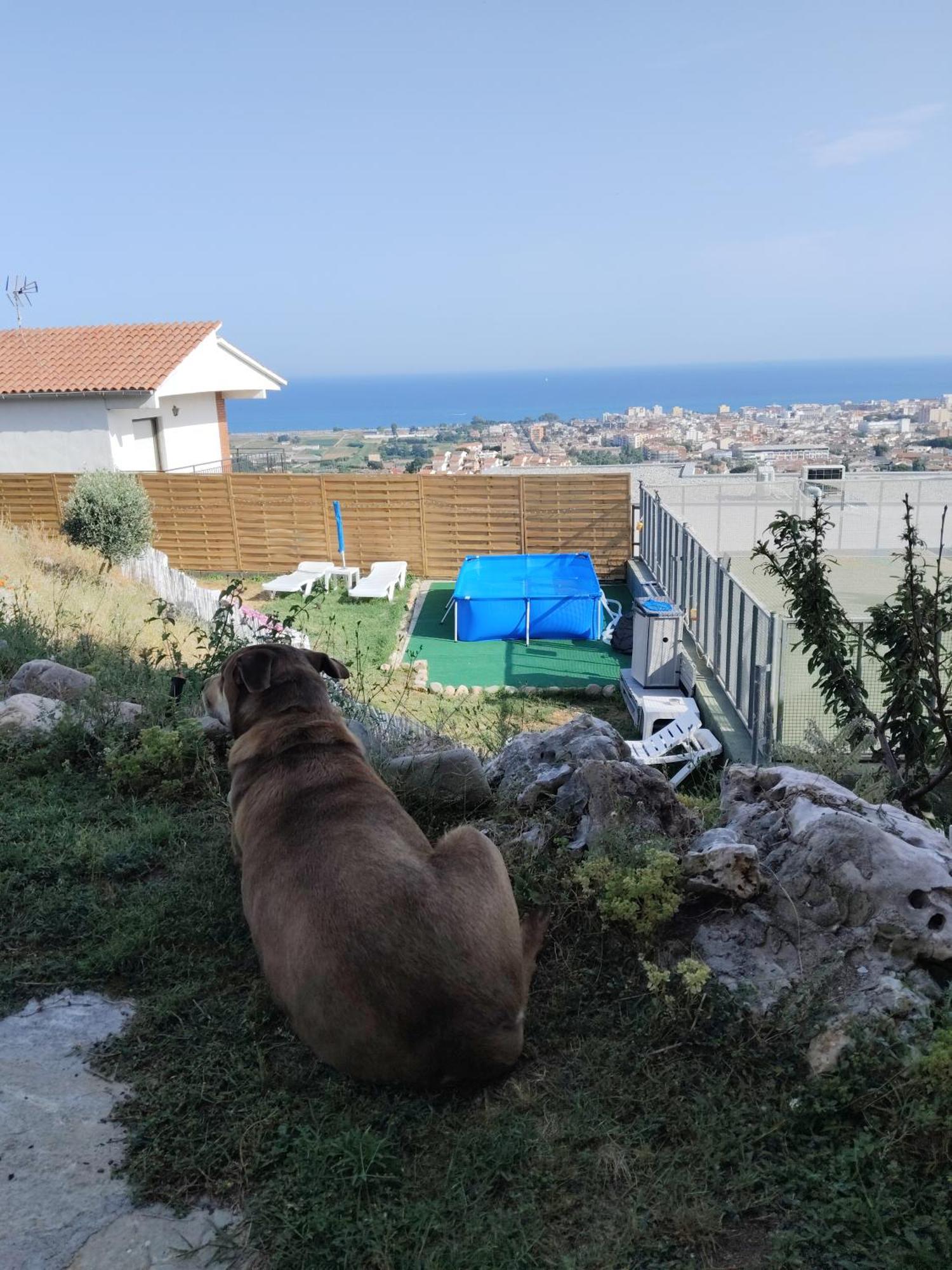 Casaemy Appartement